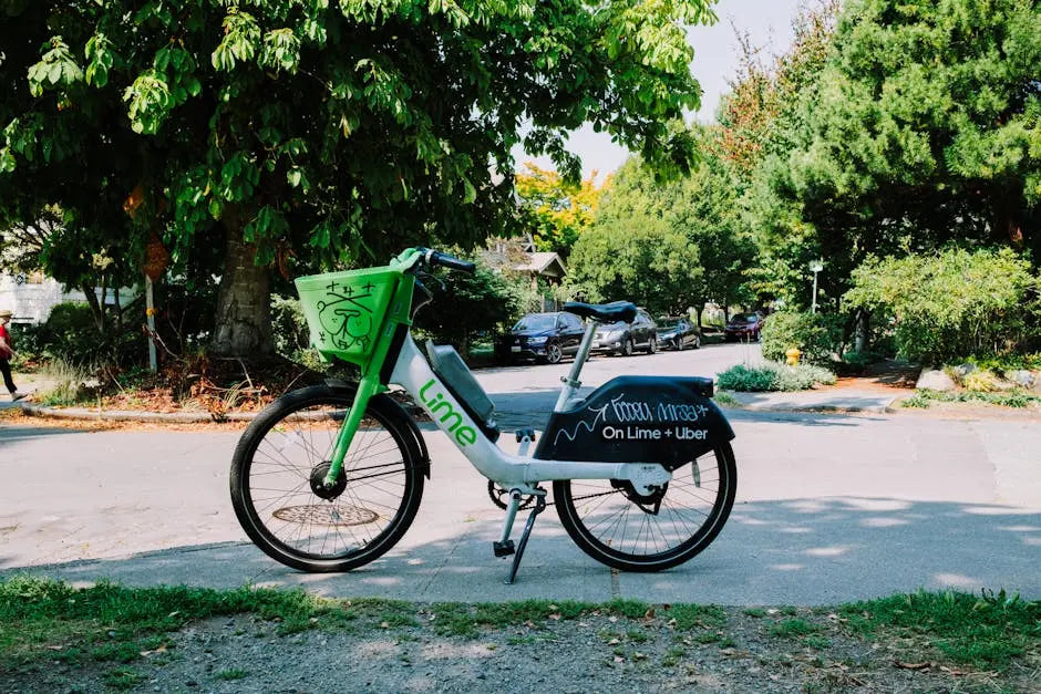 Exploring Historic Routes: E-Bike Rental Flagstaff Experiences