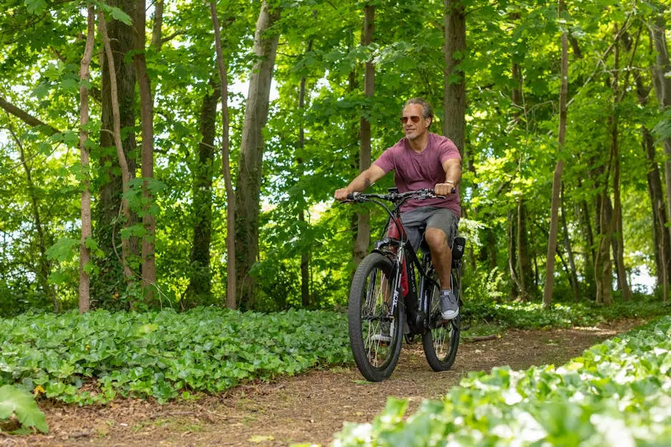 Experience the Best of Flagstaff with Electric Bike Tours